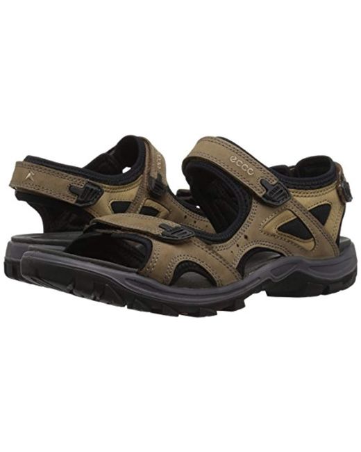 ecco offroad lite womens birch