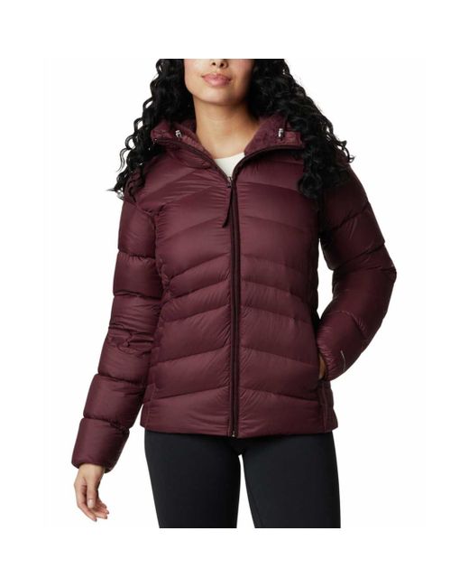 Columbia Red Autumn Park Down Hooded Jacket