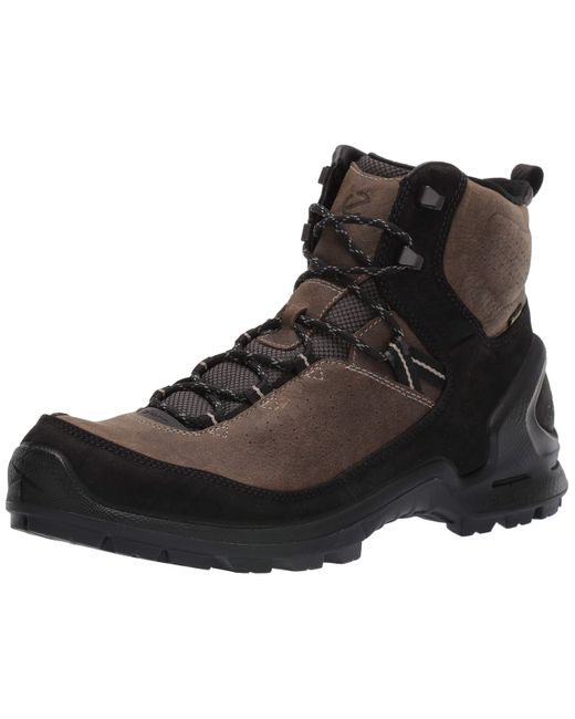 ecco shoes hiking