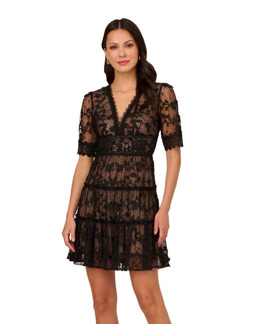 Adrianna Papell Black Lace Embroidery Dress