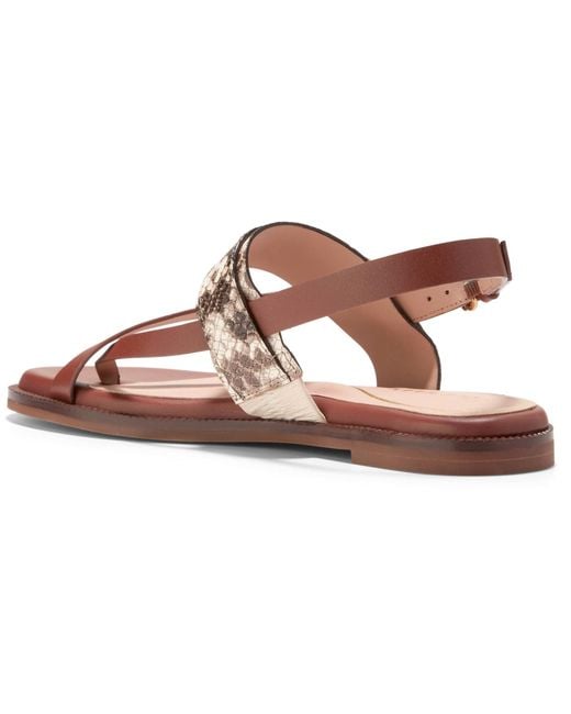 Cole Haan Brown Anica Lux Buckle Flat Sandal