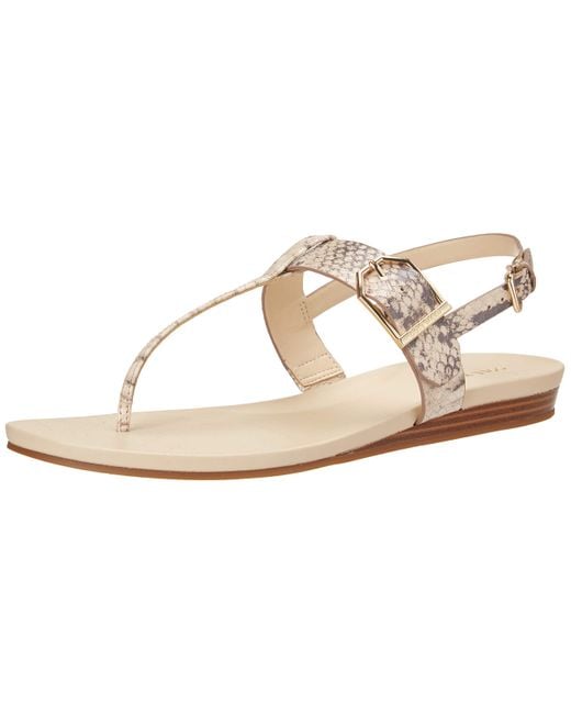 cole haan francine