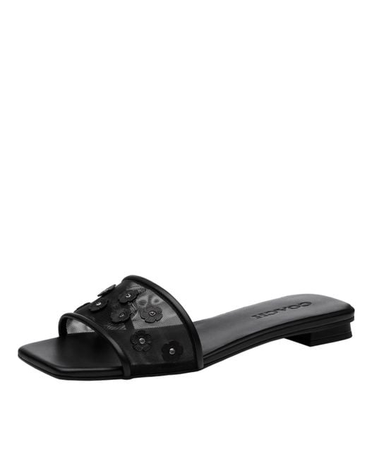 COACH Black Tea Rose Flat Sandal Platform