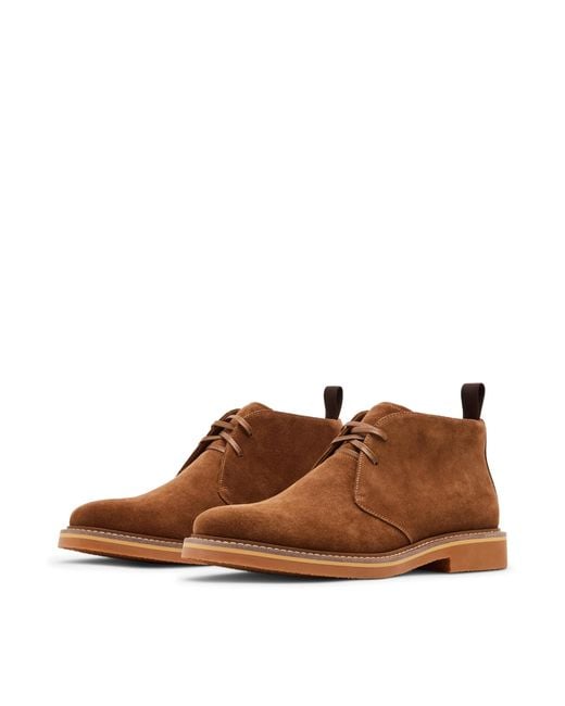 Steve Madden Brown Palta Chukka Boot for men
