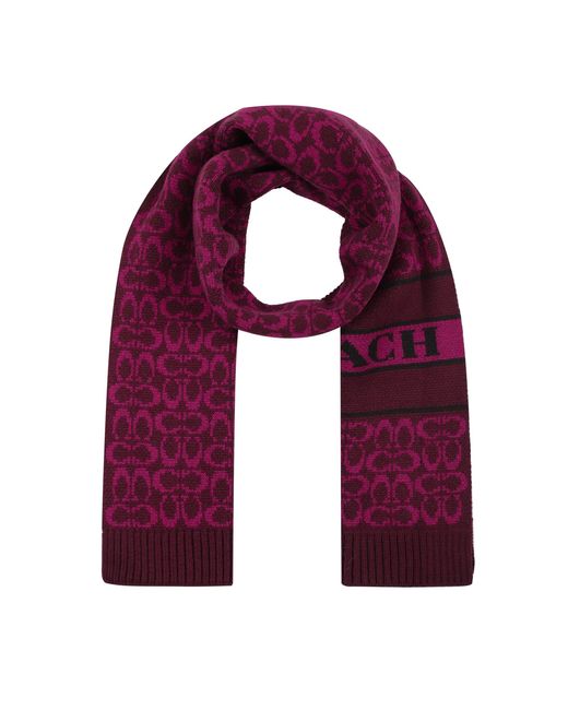 COACH Purple Signature C Logo Knit Scarf