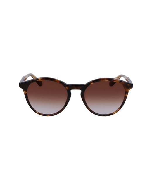 Calvin Klein Brown Ck23510s Round Sunglasses