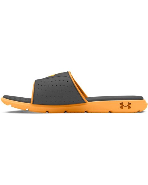 Under Armour Brown Ignite Pro, for men