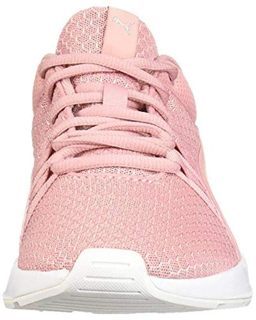 puma blaze of glory w dogwood rose puma blaze of glory w dogwood rose