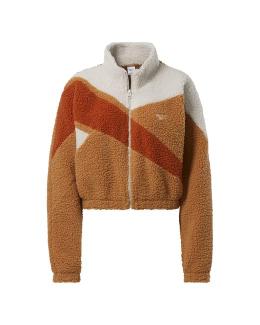 Reebok Brown Classics Camping Stripe Vector Cropped Sherpa Track Jacket