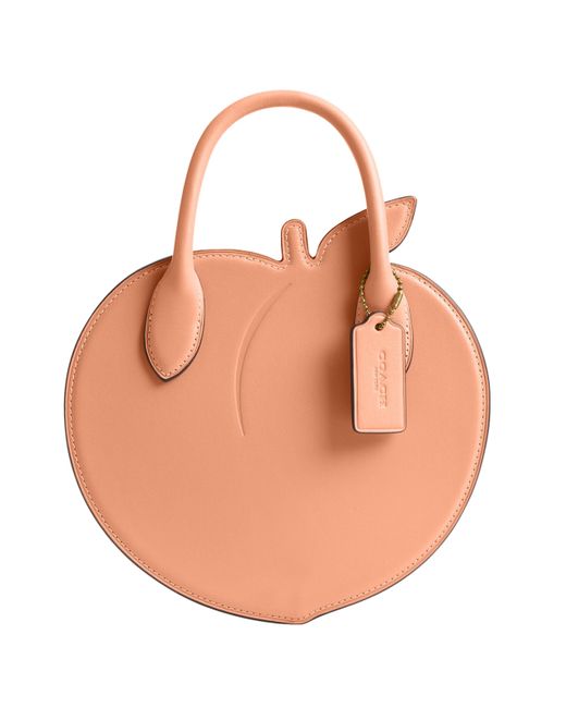COACH Natural Shape Bag
