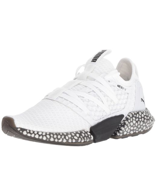 puma hybrid rocket puma hybrid rocket