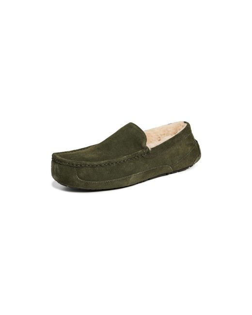Ugg Green Ascot Slippers for men