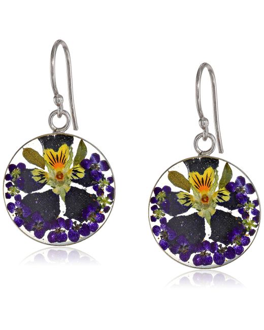 Amazon Essentials Blue Sterling Silver Purple Pressed Flower Circle Drop Earrings