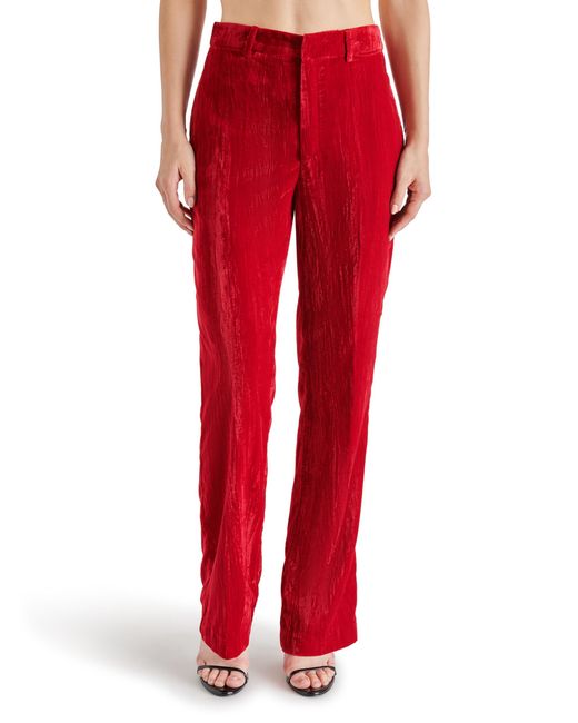 Steve Madden Red Apparel Mercer Crushed Velvet Pant