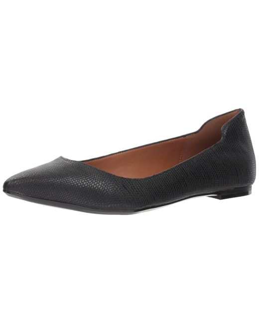 giannis shoes womens