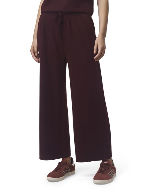 Splendid Purple Winslow Pant