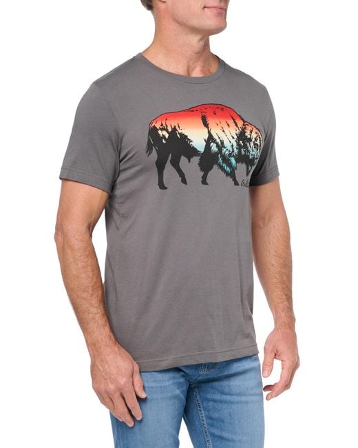 Pendleton Gray Ombre Bison Graphic T-shirt for men