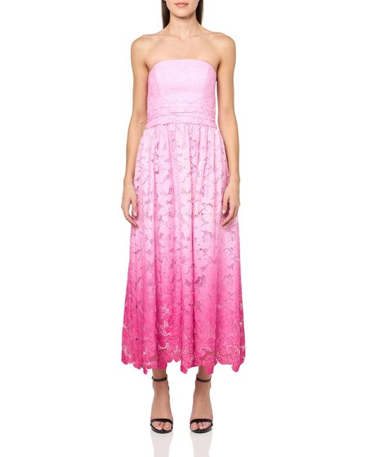 Shoshanna Pink Midnight Ombre Lace Tulip Dress