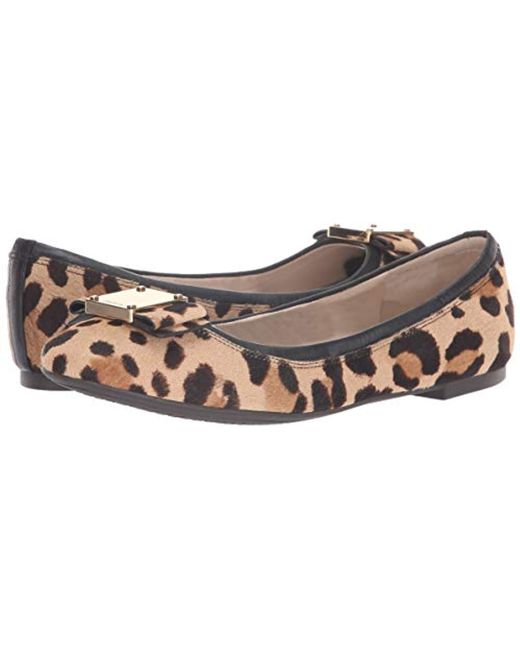 tali modern bow ballet flat