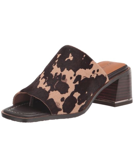 Donald J Pliner Black Donald Pliner Mule