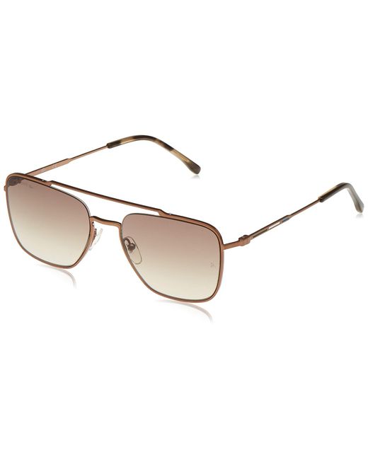 lacoste aviator sunglasses