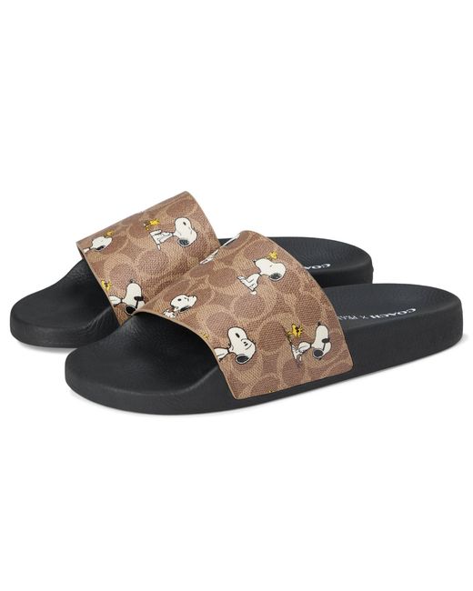 COACH Men's Black Cbp16 Tn2 11 D Peanuts Pool Slide Tan 11 D