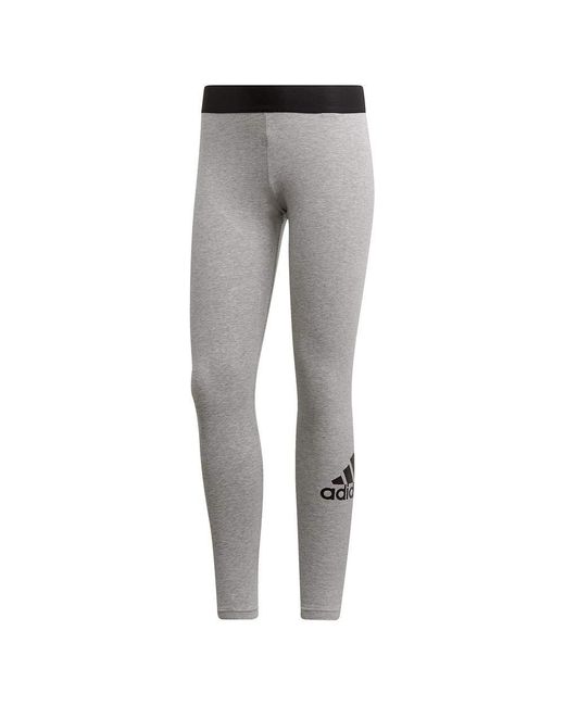 Adidas Gray Must Haves Badge Of Sport Tights