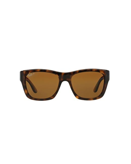 Rb4194 polarized 2024