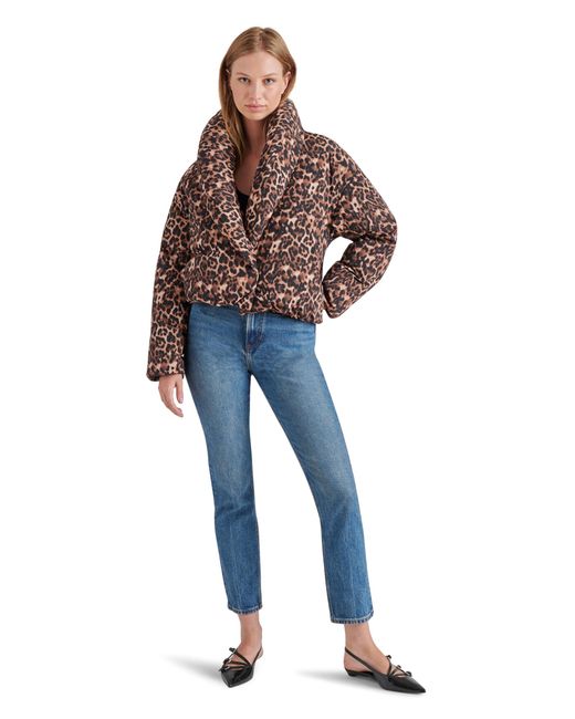 Steve Madden Blue Apparel Evy Jacket