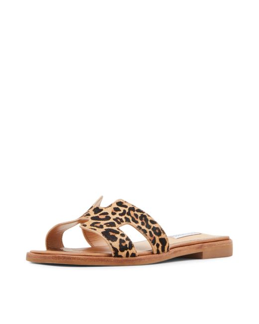 Steve Madden Brown Hadyn-l Sandal