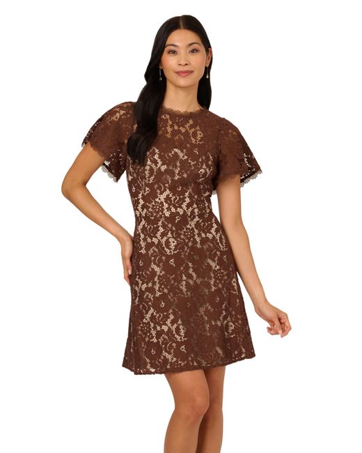 Adrianna Papell Brown Lace Flounce Short Dress
