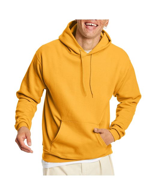 hanes men's ecosmart fleece pullover hooded sweatshirt