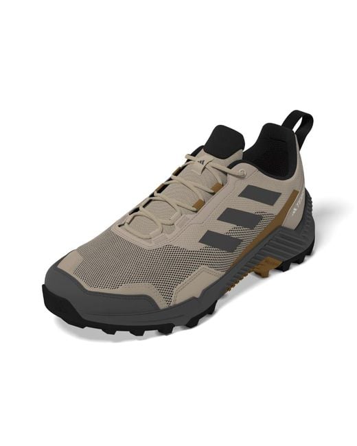 Adidas Brown Terrex Eastrail 2.0 Hiking Shoes for men