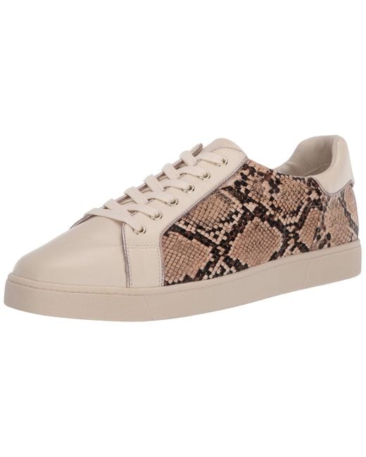 sam edelman devin sneaker