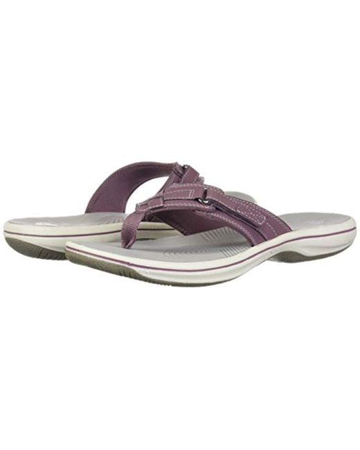 clarks breeze sea purple