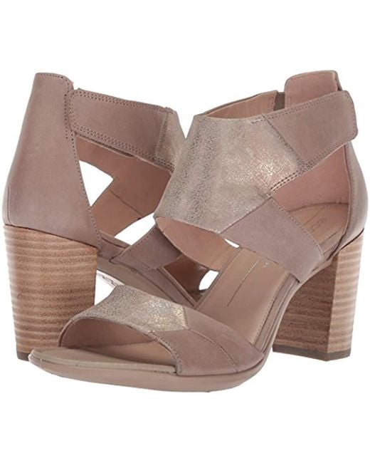 ecco shape 65 purple