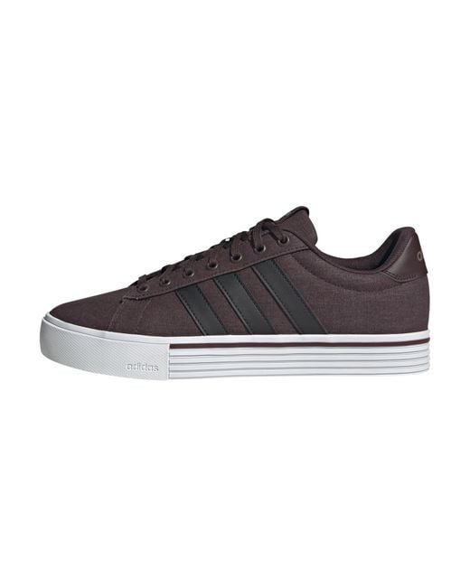 Adidas Brown Daily 4.0 Sneaker
