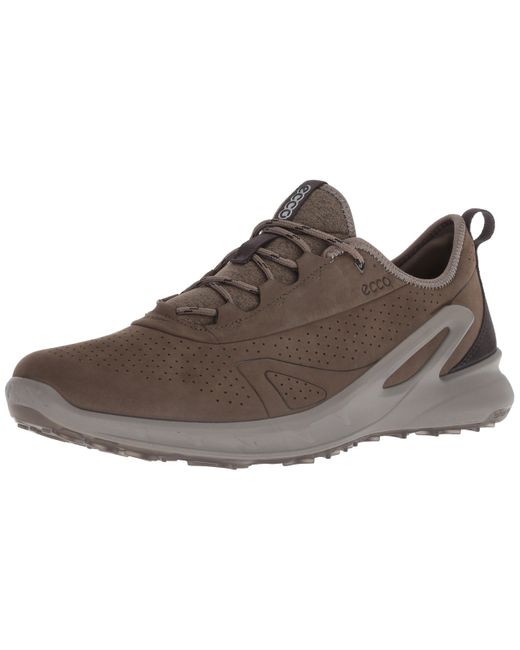 ecco hiking shoes mens