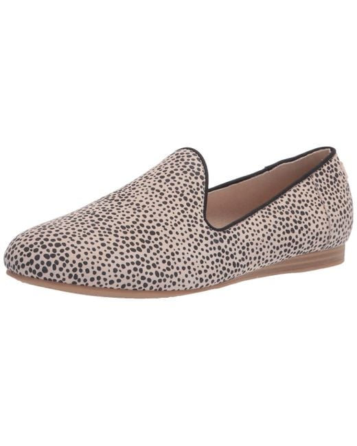 darcy flat toms