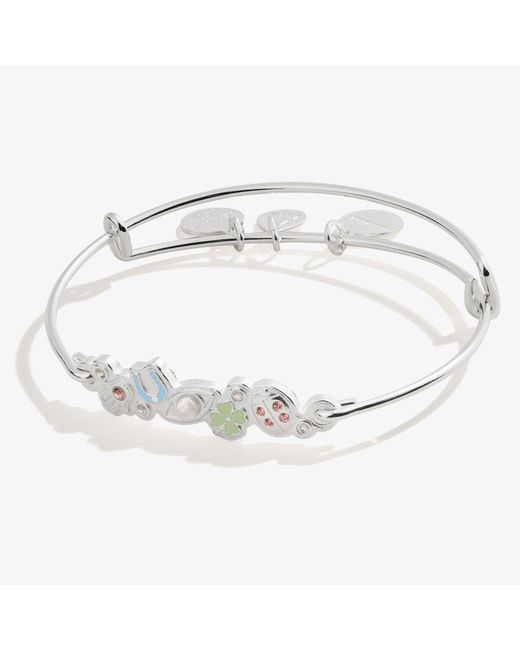 Alex and ani hot sale expandable bracelet