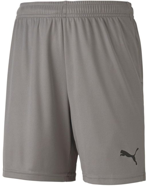 PUMA Gray Youth Teamgoal 23 Knit Shorts