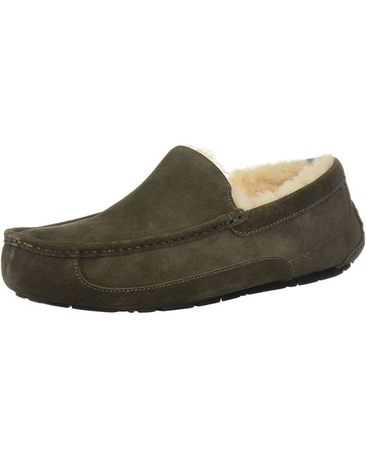 olive green uggs men