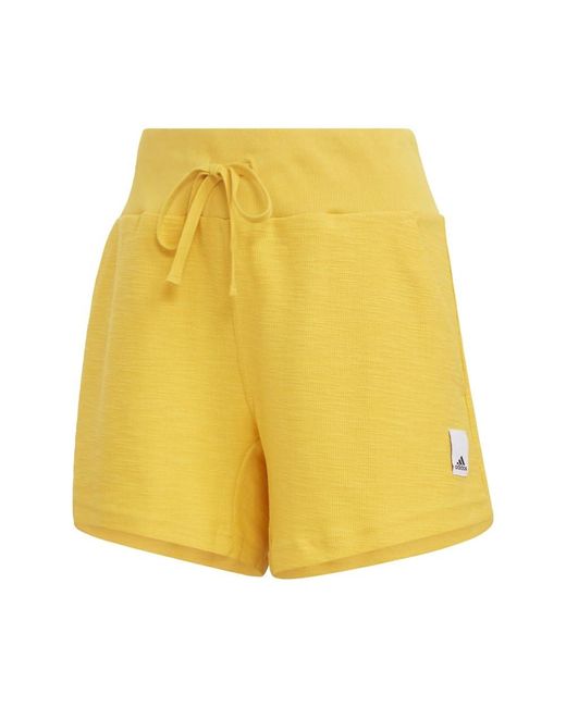 Adidas Yellow Lounge Terry Loop Shorts