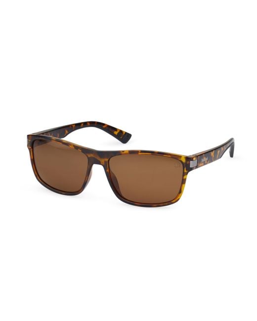 Timberland Black Injected Sun Glasses Round Sunglasses for men