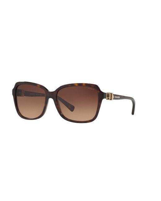 COACH Black Hc8179 Sunglasses