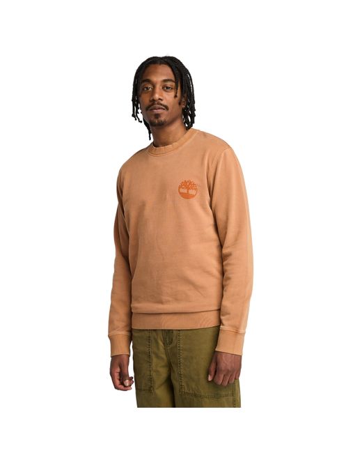 Timberland Green Garment Dye Back Graphic Crew Neck Sweat for men