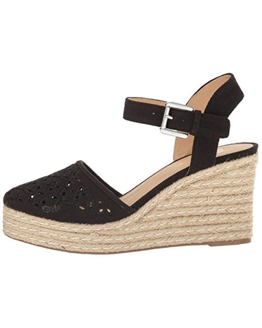 skechers turtledove baratas