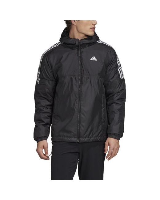 Adidas Black Essentials Insulated Hooded Jacket for men