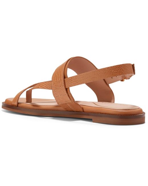 Cole Haan Brown Anica Lux Buckle Flat Sandal