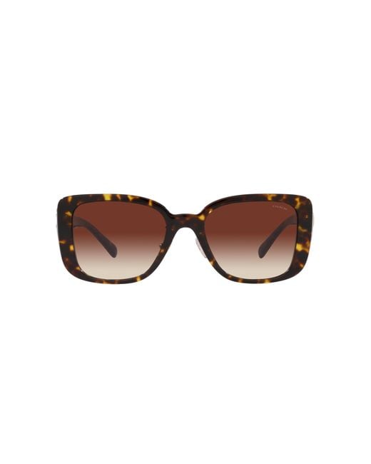 COACH Black Hc8352 Sunglasses